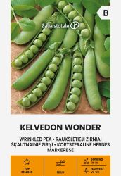 Peas Kelvedon Wonder Seed